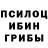 Псилоцибиновые грибы Magic Shrooms B1a Bu