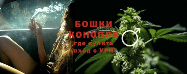 соль ск Костерёво