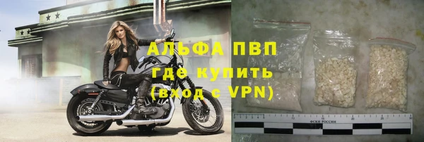 стаф Баксан