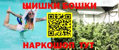 не бодяженный Гатчина