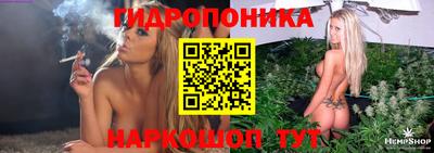 не бодяженный Гатчина