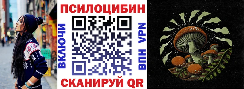 Псилоцибиновые грибы Psilocybe  Губкинский 