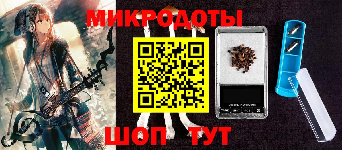 Галлюциногенные грибы Psilocybe Губкинский