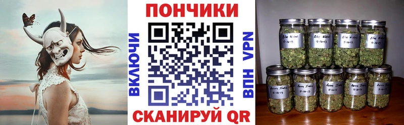 Шишки марихуана сатива Губкинский